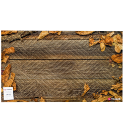 Wycieraczka mata wejściowa dywanik 45x75 Jesień